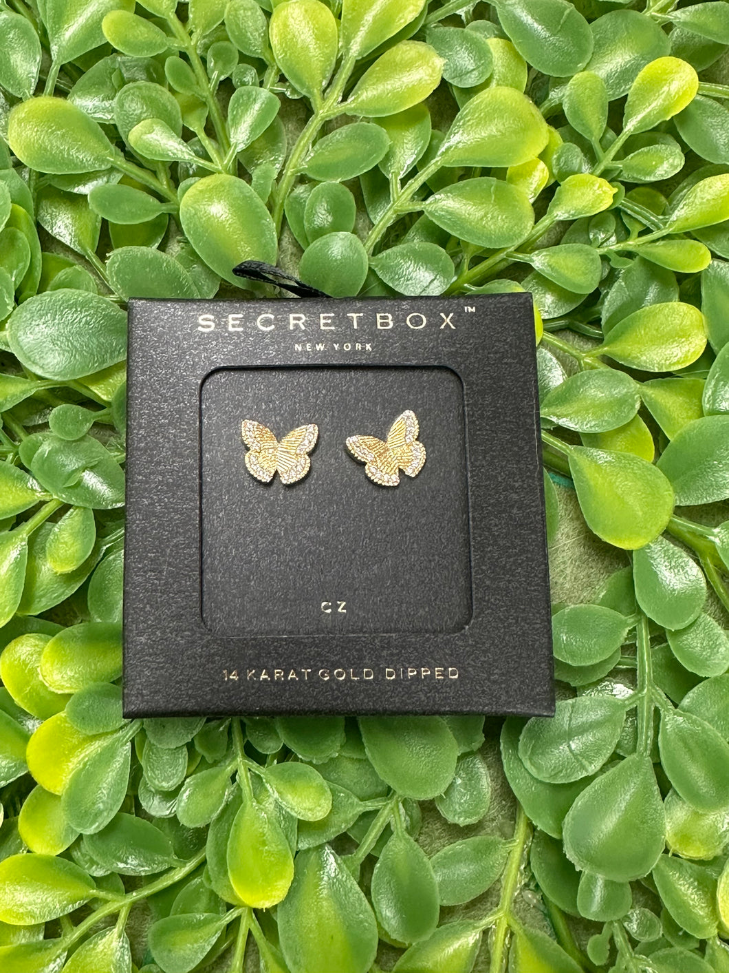 Secret Box Butterfly Earrings