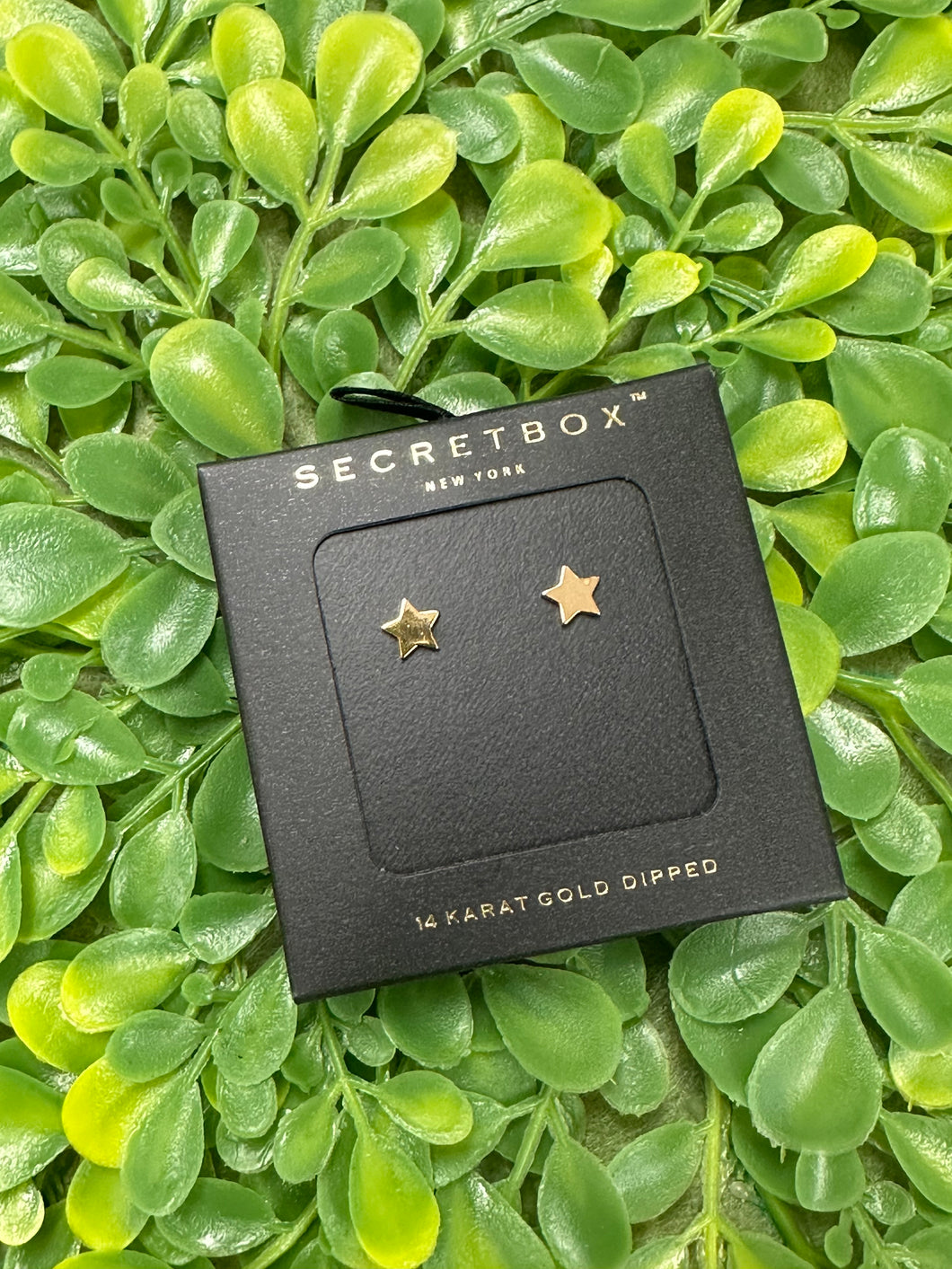 Secret Box Star Earrings